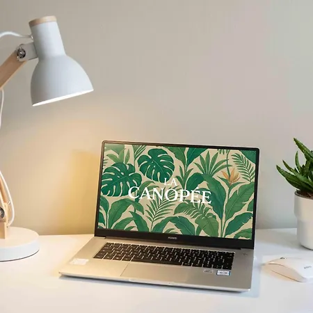 La Canopee Atypique Vendee Luçon