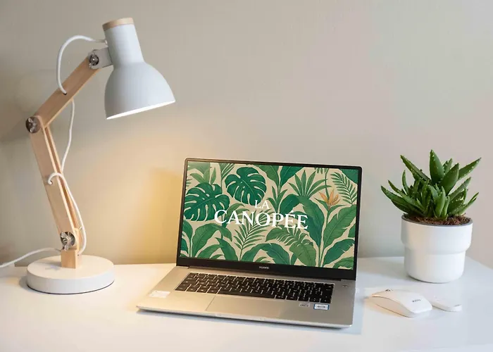 La Canopee Atypique Vendee Luçon